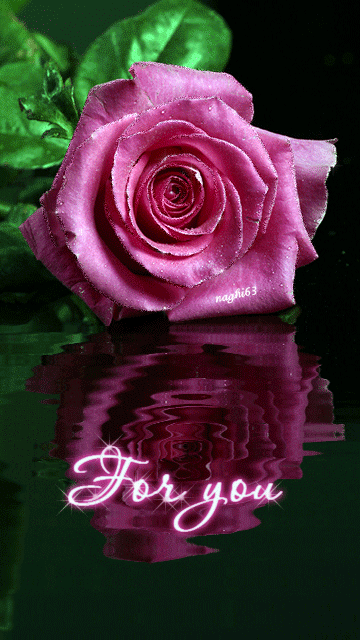 animated rose image