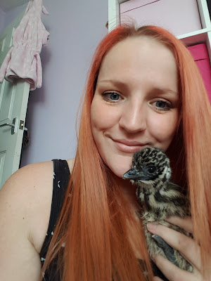 Beli Telur di eBay Seharga 400 Ribu, Wanita Ini Berhasil Tetaskan Hewan Besar Ini! Beli Telur di eBay Seharga 400 Ribu, Wanita Ini Berhasil Tetaskan Hewan Besar Ini!