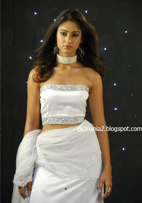 south indian item girl telugu actress ilena hot sexy image gallery