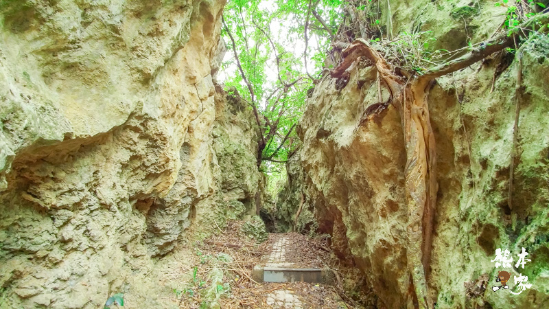 小琉球美人洞第2遊覽區|海上樂園、麗池、怡然園、一線天、迷人陣