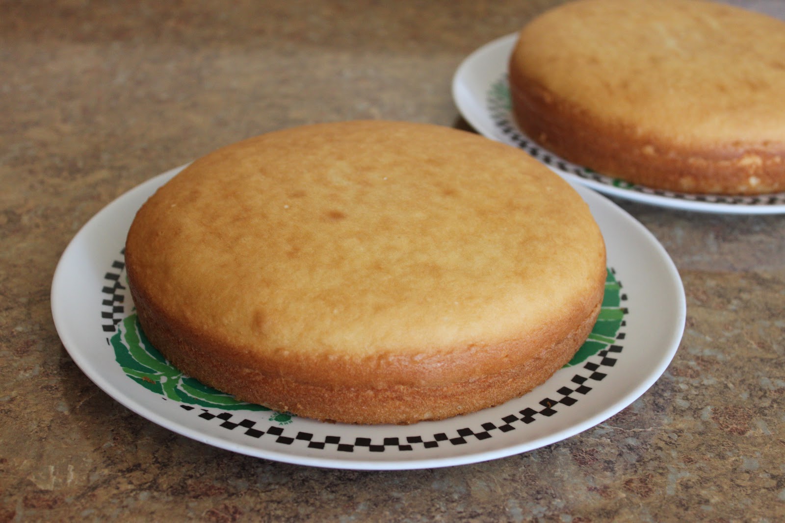 Mountain Mama Strawberry Kiwi Cake