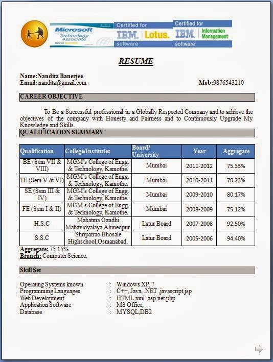 Tech Area: CV / Resume Format For freshers