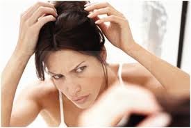 ila narai sariyaaga tips in tamil, Tips for Preventing white Hair, azhagu kurippugal narai mudi varamaal thadukkum murai,சீகக்காய் தயாரிக்கும் முறை, கூந்தல் இளநரைக்கு வீட்டு மருத்துவம் ila narai sariyaaga tips in tamil, Tips for Preventing white Hair, azhagu kurippugal narai mudi varamaal thadukkum murai,சீகக்காய் தயாரிக்கும் முறை, கூந்தல் இளநரைக்கு வீட்டு மருத்துவம்