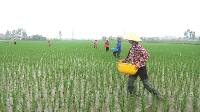 Kiểu ghen tuông độc đáo của ông chồng gia trưởng Kiểu ghen tuông độc đáo của ông chồng gia trưởng