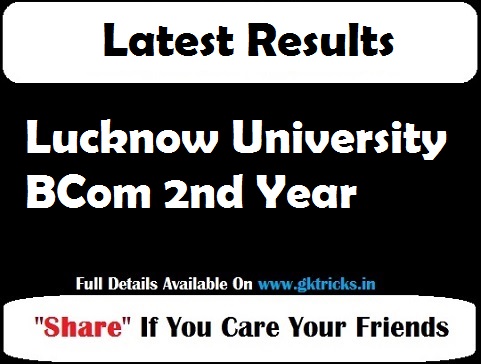 Lucknow University BCom 2nd Year 