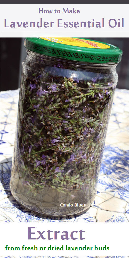 how to make lavender essential oil