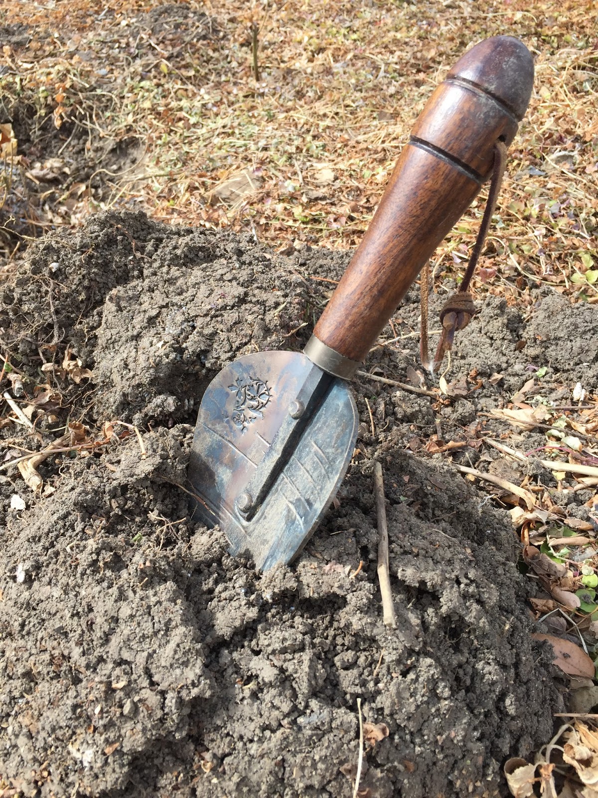 JeffCo Gardener Soil Testing CSU Extension or DIY?