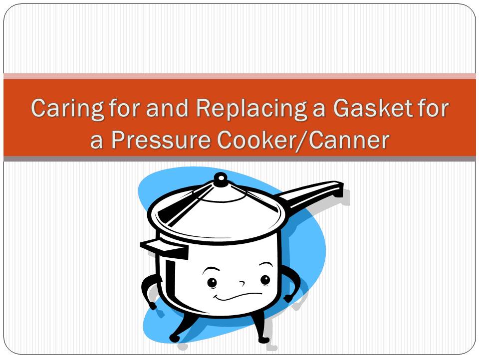 Pressure Cooking and Canning How Often do you Need to Change Your Gasket