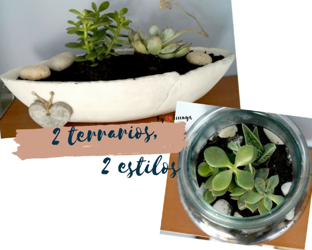 como-hacer-terrario-en-urna-de-vidrio