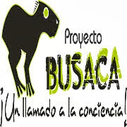 Proyecto Busaca