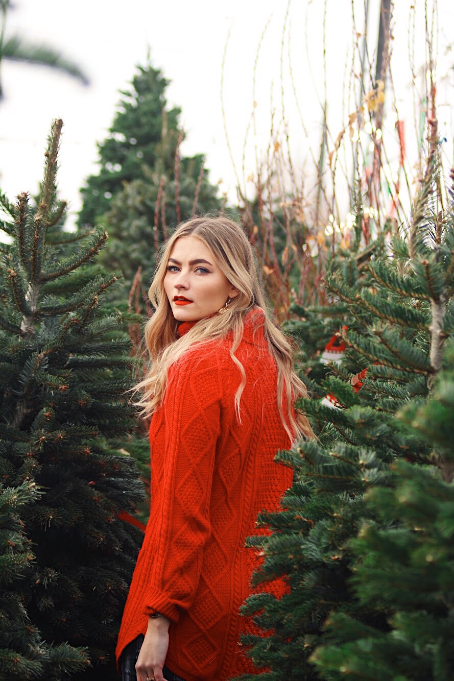 chic historique The Origin of the Christmas Tree