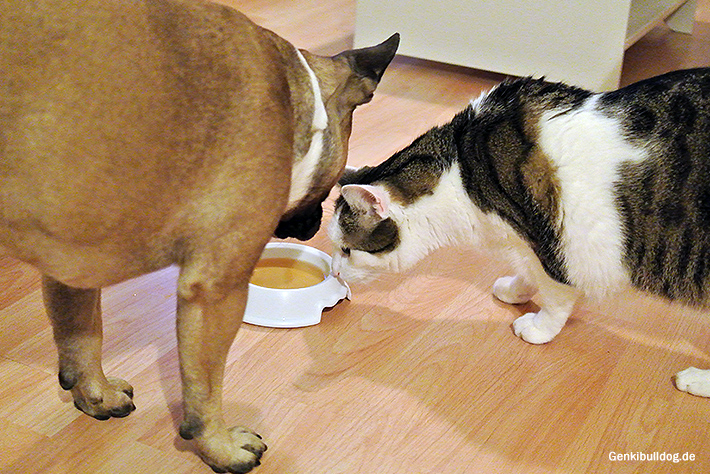 Snuffle Hundebier Snuffle Hundebier