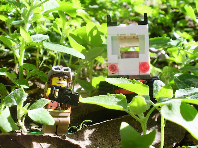 MOC LEGO Aventura de Sir David Attenborough