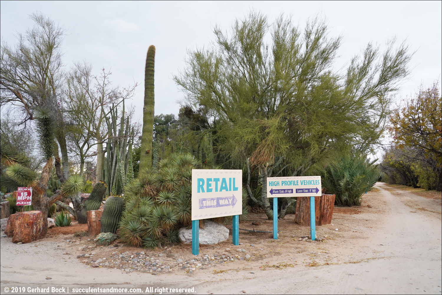 Bach's Cactus Nursery Tucson Az Tucson, arizona is a great
