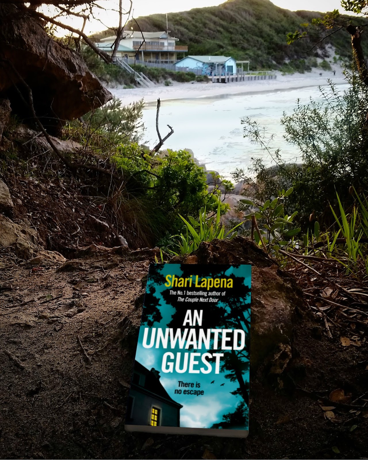 but books are better Book Review AN UNWANTED GUEST by Shari Lapena
