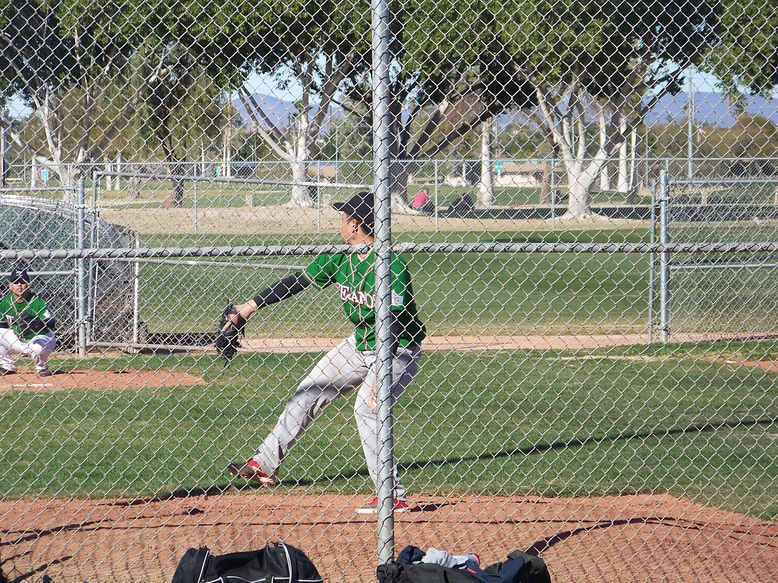 Japanese Baseball Cards Yuma, the Swallows and the Arizona Winter League