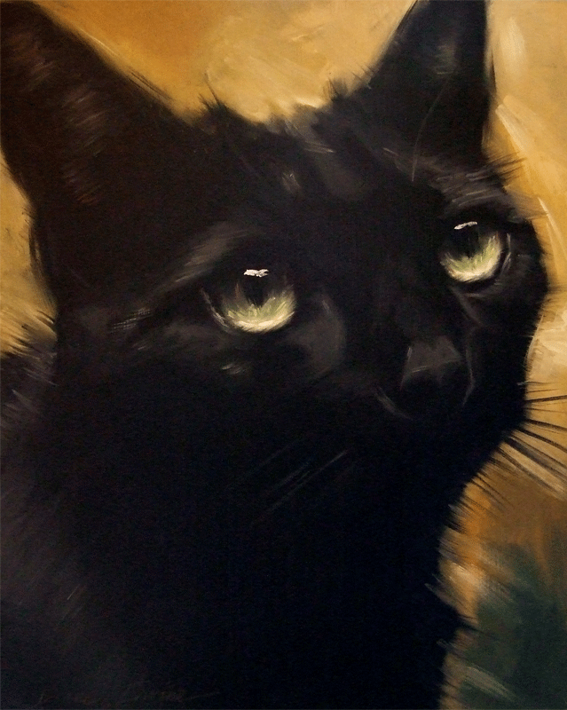 Paintings From the Parlor: Mysterious Black Cat Original ...