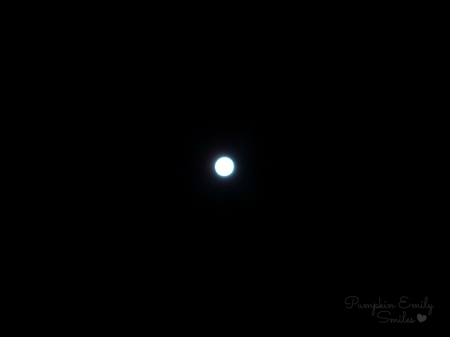 Wolf Moon on January 4, 2015