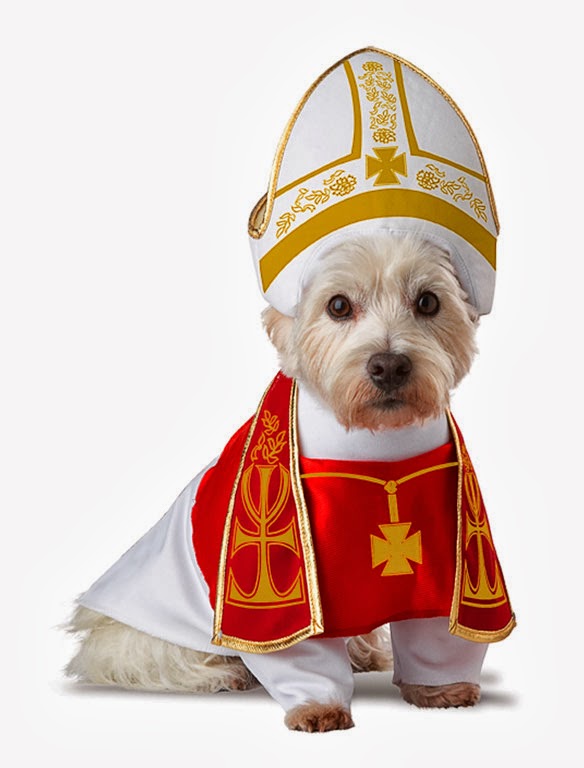 The CUTEST Halloween COSTUMES for DOGS 2013! BOLD and UNUSUAL DOG