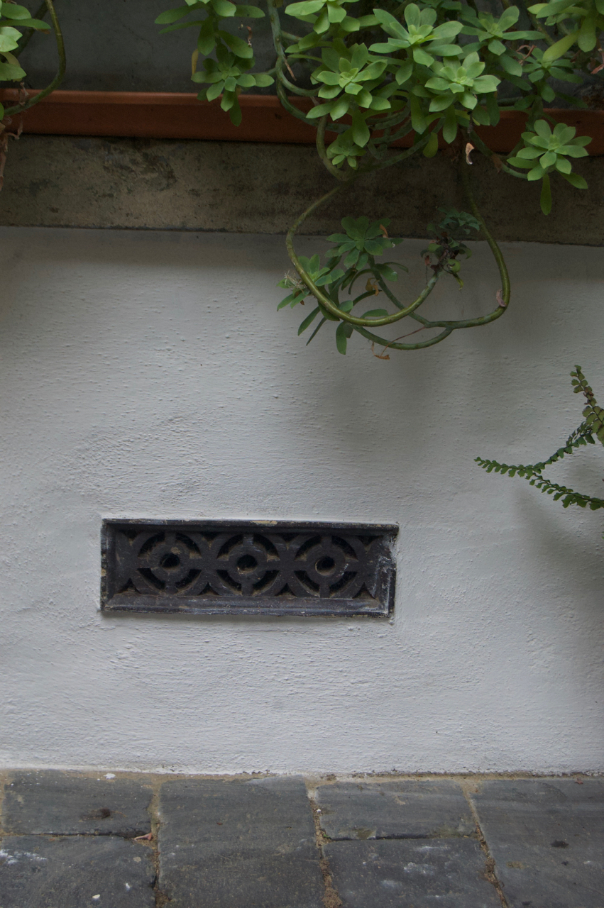 Lime putty limewash on lime render it's so easy