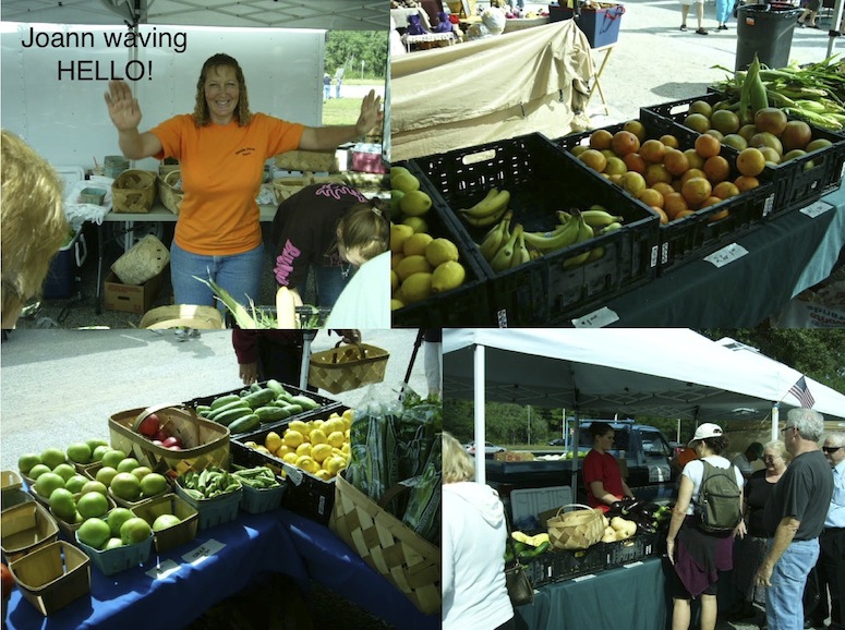 Beasley Farm of Brooksville Hernando County Farmers Market