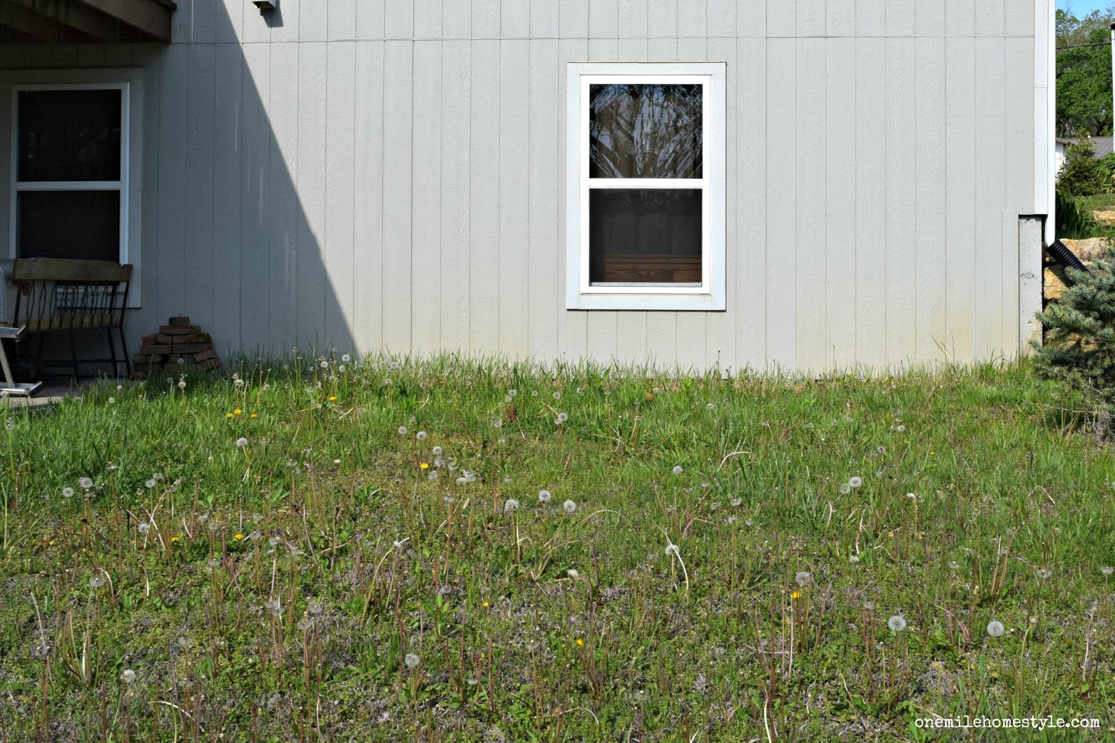 Boring Backyard into a Fantastic Outdoor Entertaining Space