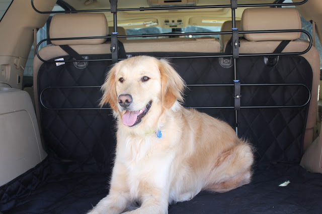 Solvit Car Barrier review Dog Safety, Travel Safely with pets,