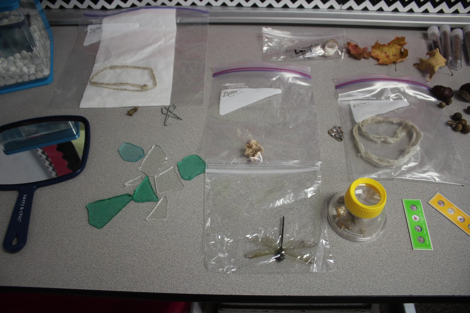 The Go To Teacher: Wonder Table