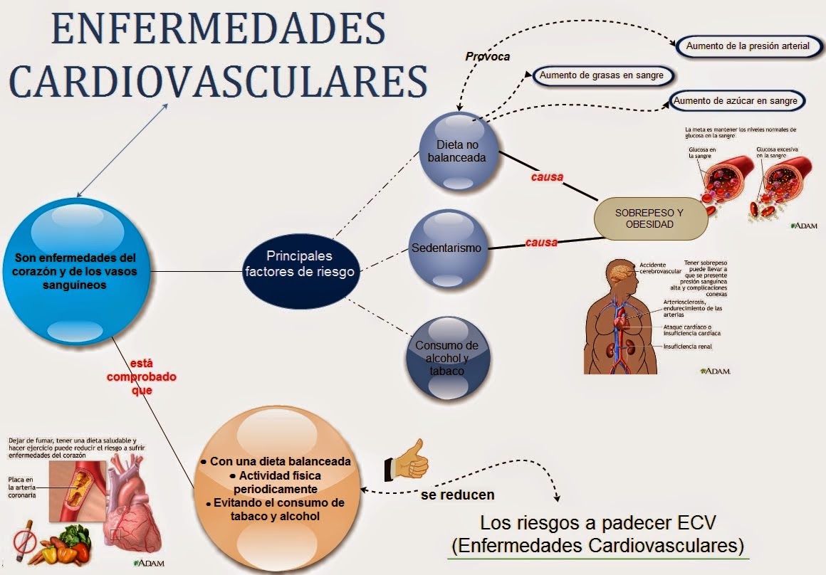 ¿Puede la BP normal causar un ataque al corazón?
