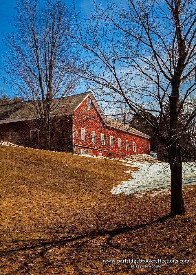 Getting it Right in the Digital Camera Editing Your Photos With the "BlowUp" Scan