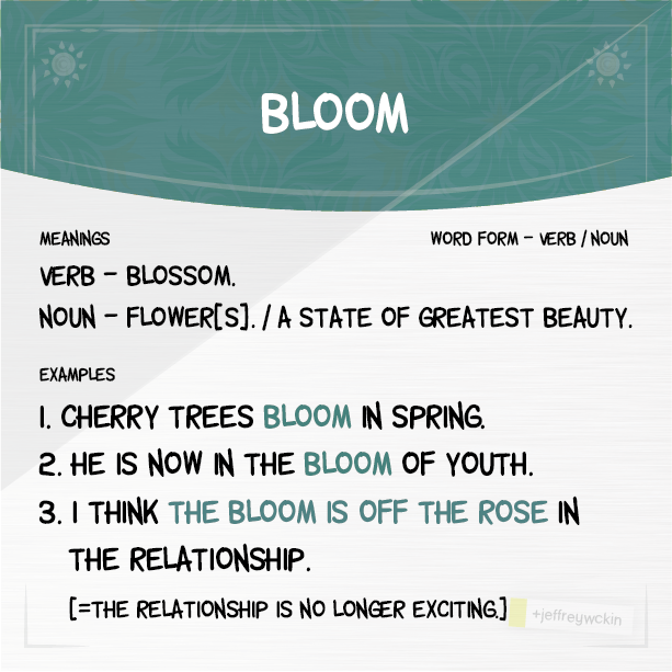 Wanna learn English? WOTD Bloom