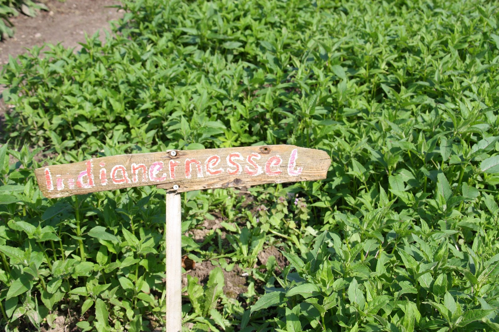 Kartenzauber und mehr.... Selbsterntegarten in Jersbek seine