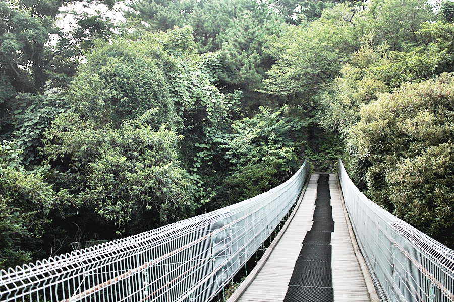 japan nature bridge