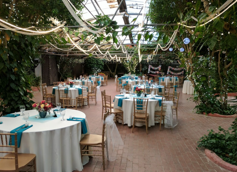 Boojum Tree Hidden Garden Wedding Venues Boojum Tree Hidden Garden Wedding Venues