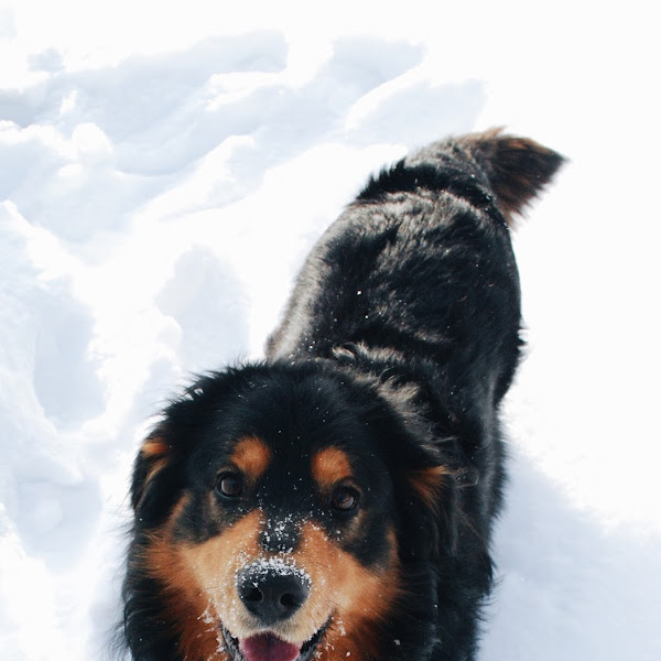 Pildis: -20 kraadi ja maal käik