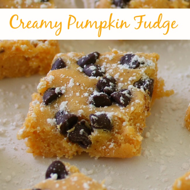 Creamy fudge with pumpkin and chocolate chips