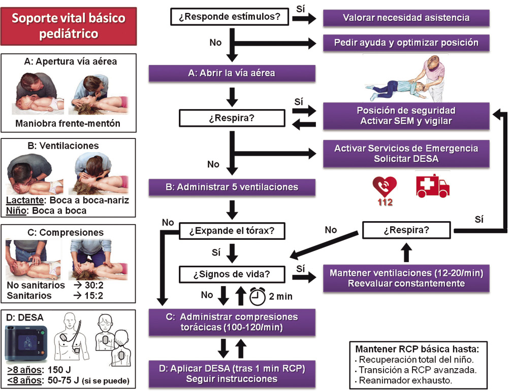 Cuidados Pediátricos y Neonatales RCP básica