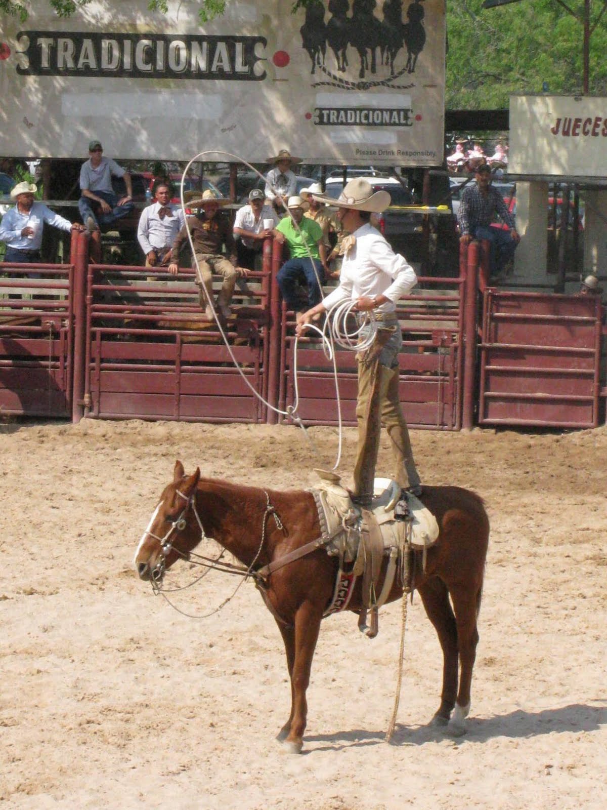 Meandering... Charreada of Fiesta San Antonio