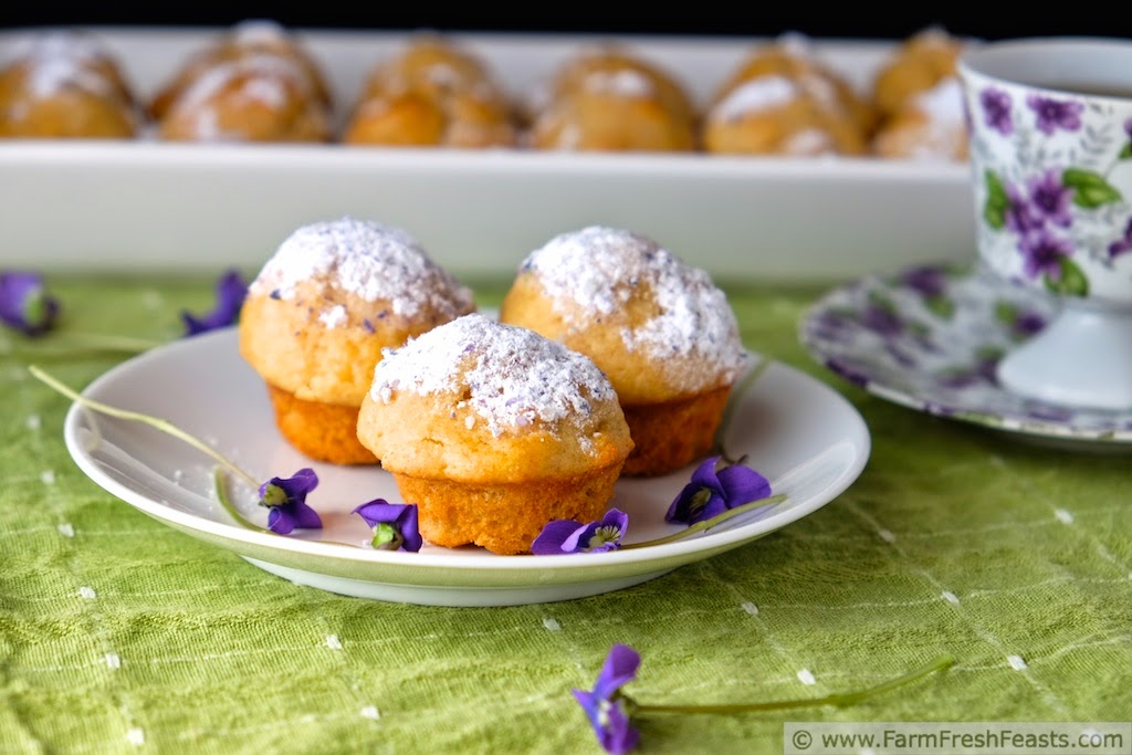 image of a plate of wild violet muffins topped with wild violet sugar