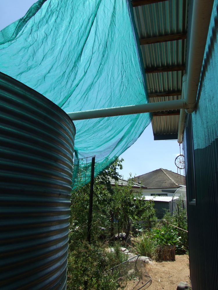 Some shade please now!