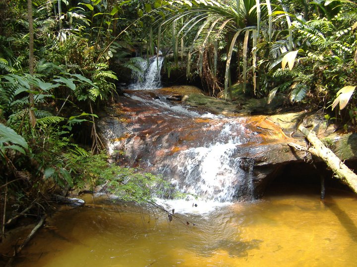 Taman Nasional Bukit Tigapuluh 30 TNBT | Attayaya Blog