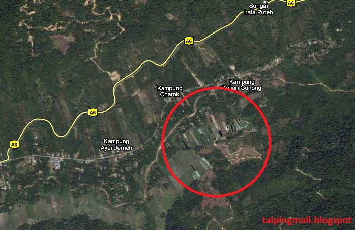 Taipingmali : Penternakan Udang Galah di Kampung Klian Gunung , Ijok
