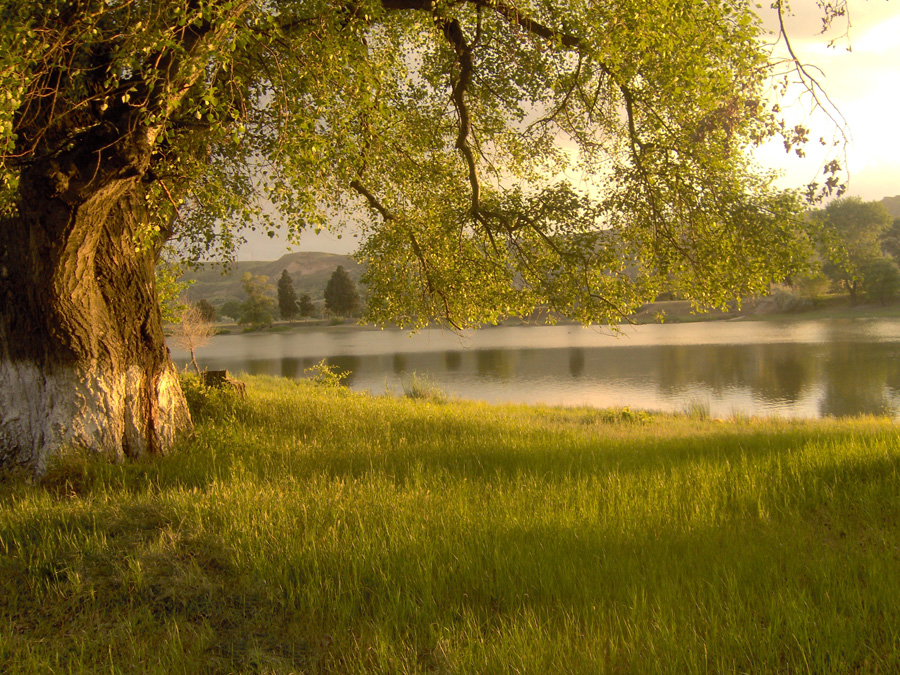 Bible Gems for Friendship: What Is The Third Heaven?