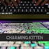 US Treasury Officials' Emails Targeted by Charming Kitten Iranian Hacking Group
