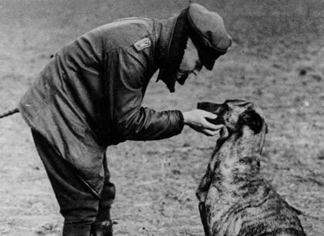 WWI German flying ace, ‘The Red Baron’ in flight jacket and cap, bends down to pet his dog. 1916 Dogfights and other stories of pilots. marchmatron.com WWI German flying ace, ‘The Red Baron’ in flight jacket and cap, bends down to pet his dog. 1916 Dogfights and other stories of pilots. marchmatron.com