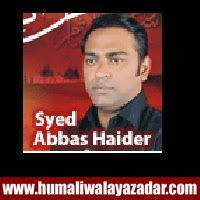 http://ishqehaider.blogspot.com/2013/10/syed-abbas-haider-nohay-2014.html