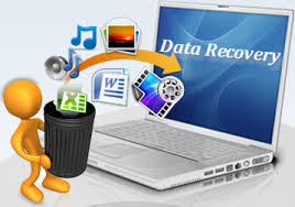 Data Recovery and High Availability Guide and Reference