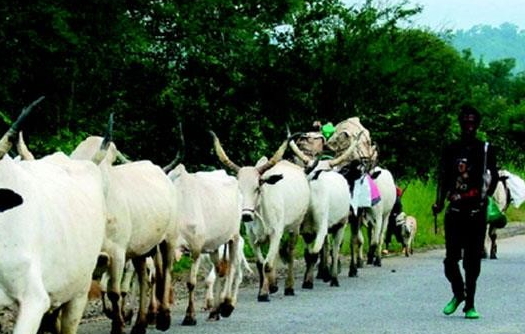 fulani attack zamfara fulani attack zamfara