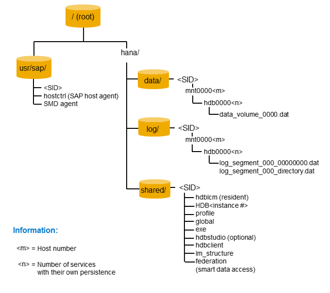 SAP BASIS BASIC OVERVIEW: S4Hana_04: Database Installation