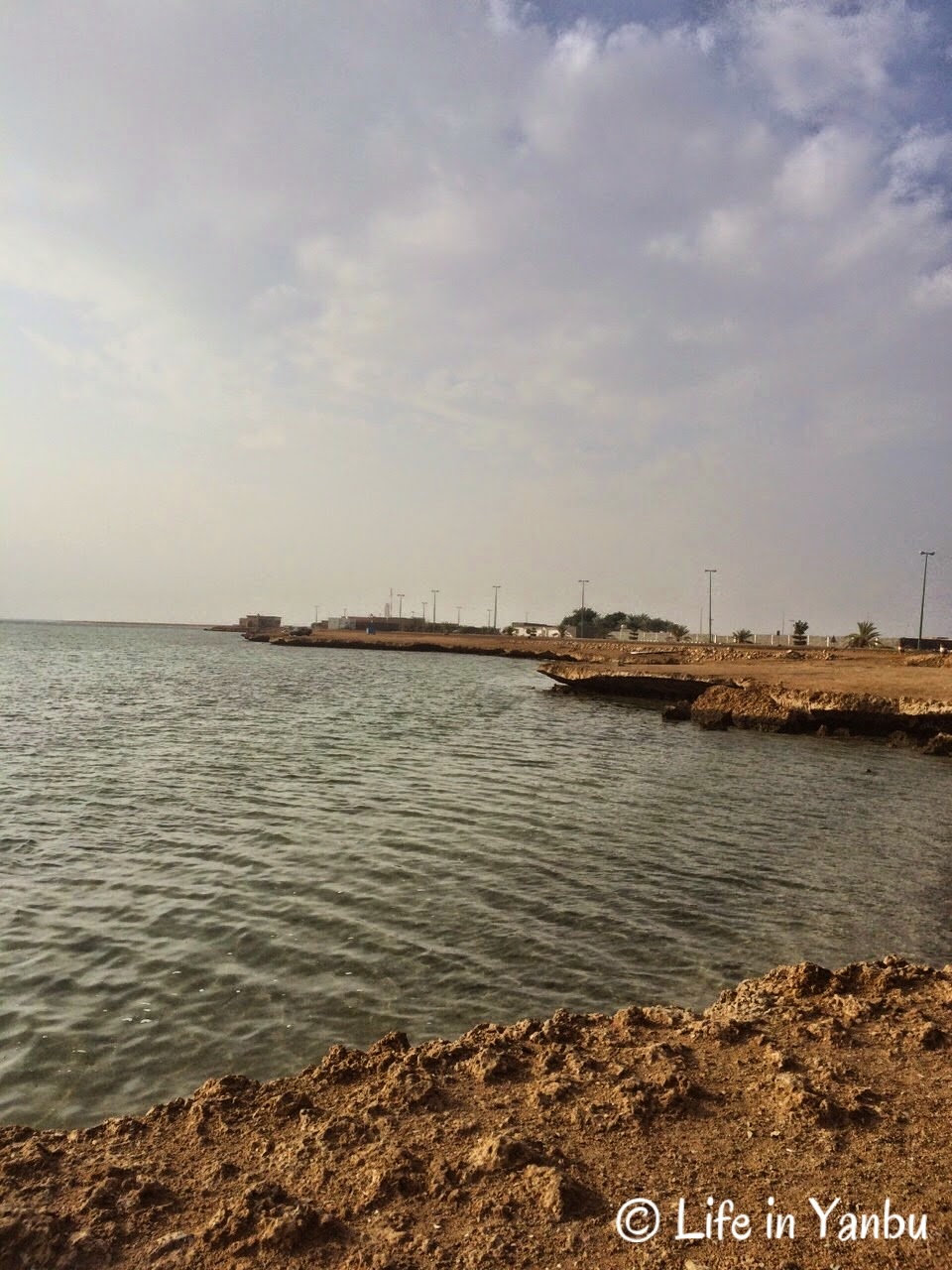 Red Sea Low Cliff Coast